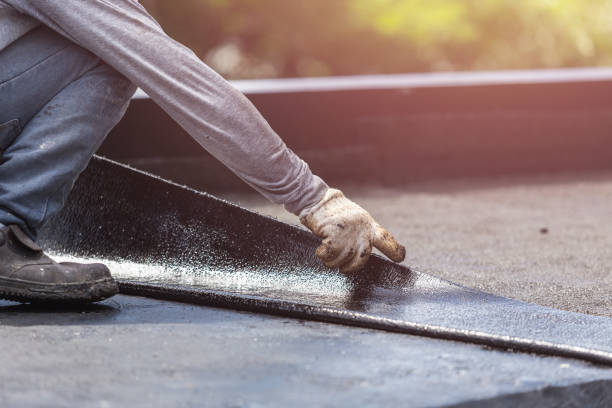 Professional Interior Drainage System technician working in Millfield, OH